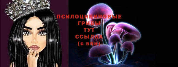 сатива Алексин