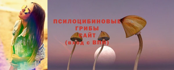 сатива Алексин